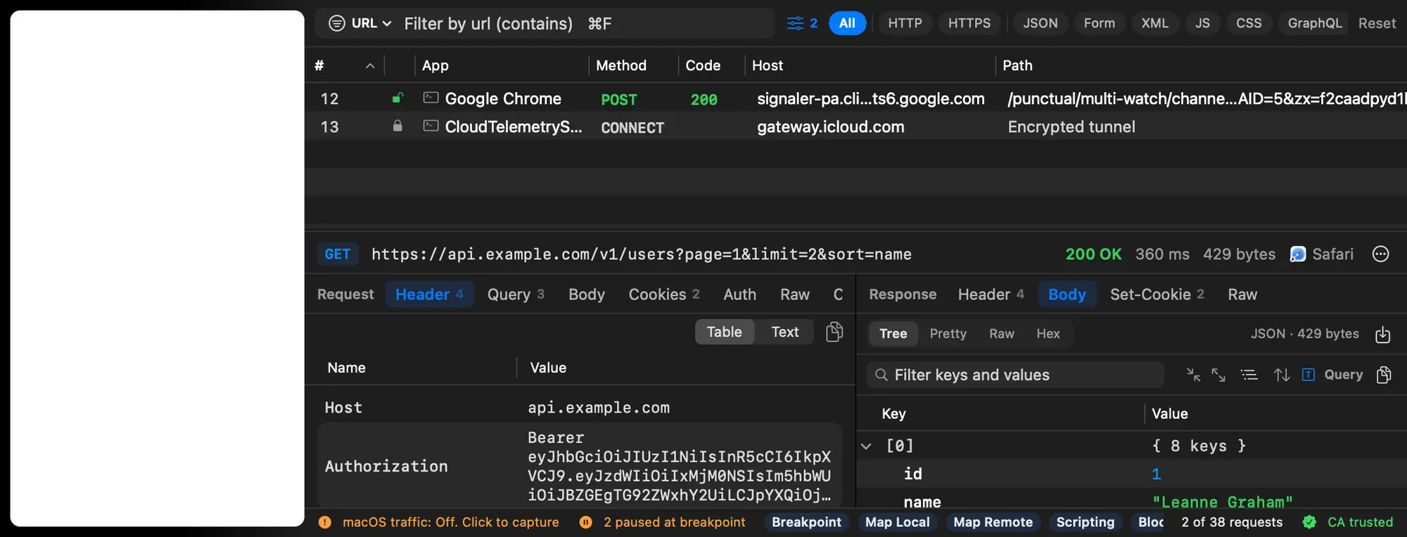 A narrow traffic list with two rows: a Google Chrome POST to a long googleapis host and path, and a CloudTelemetryService CONNECT tunnel to gateway.icloud.com